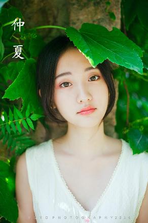免费观看电视剧大全在线观？这些数字背后的精彩你知道吗！